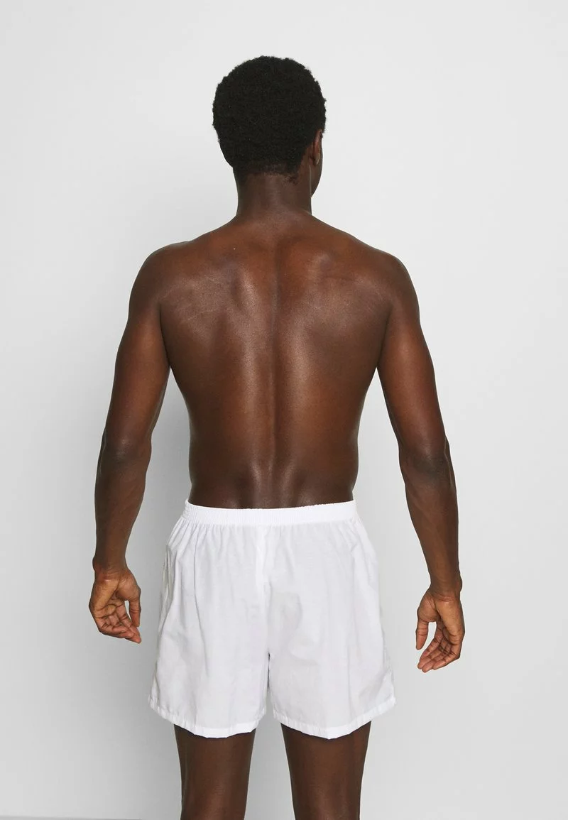 Pier One Uomo 5 PACK - Boxer - Light Blue/white - immagine 2